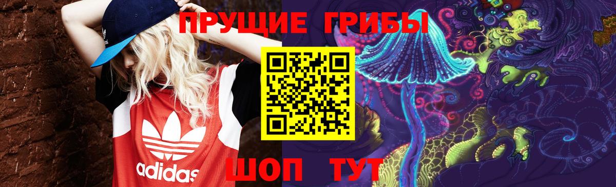 Псилоцибиновые грибы мицелий Аксай